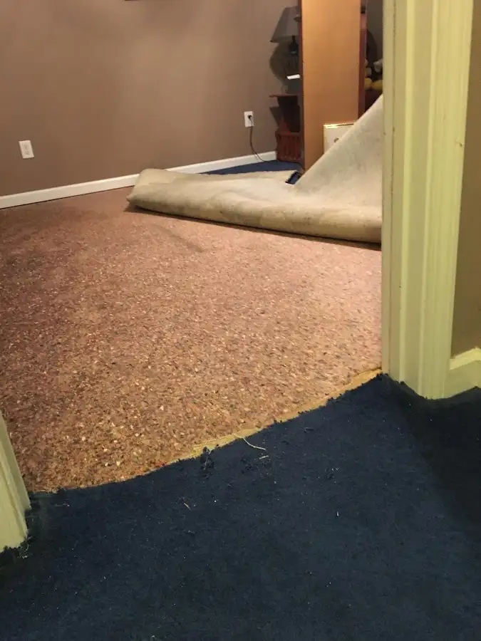 Carpet pad removal revealing water damage during Water Mitigation Services in Enoch