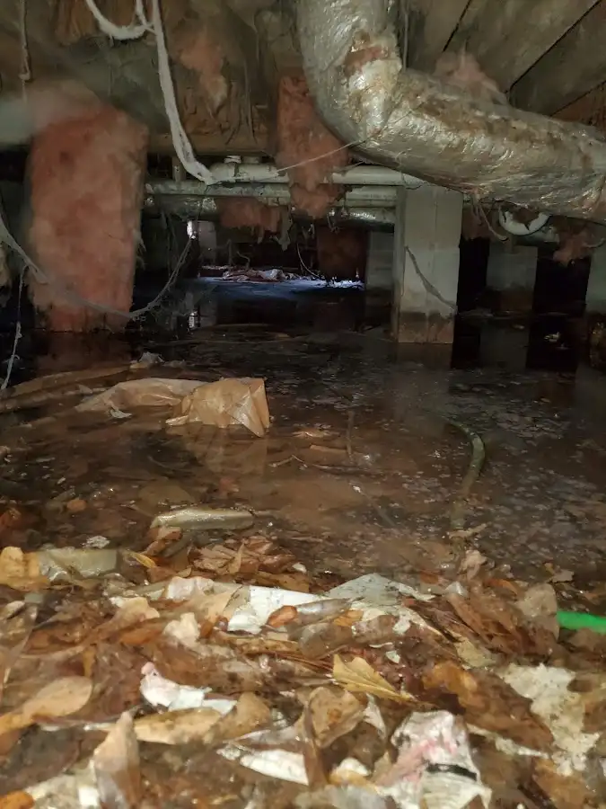 Crawl space flood assessment for Leak Detection & Repair in Enoch